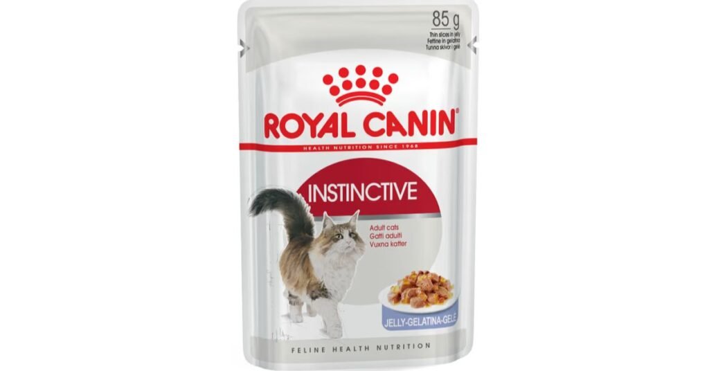 Nutrition for Adult Cats